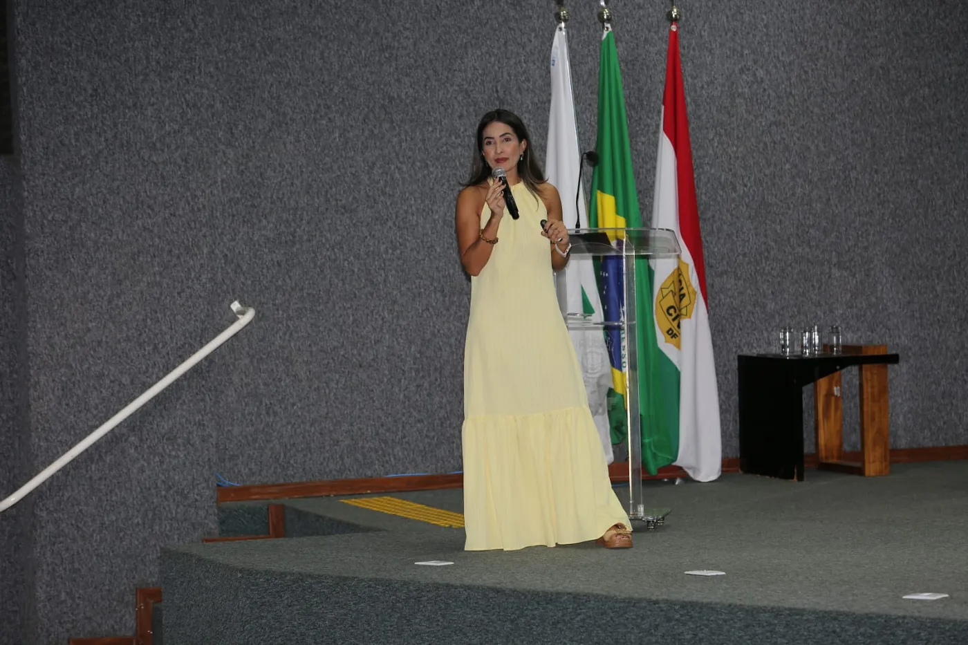 Palestrante em palco com bandeiras oficiais ao fundo